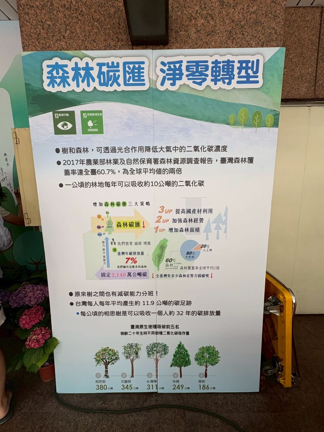 LINE_ALBUM_長聖與長佳ESG 小樹苗_250507_9