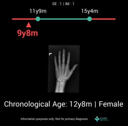 00-主圖（不動）